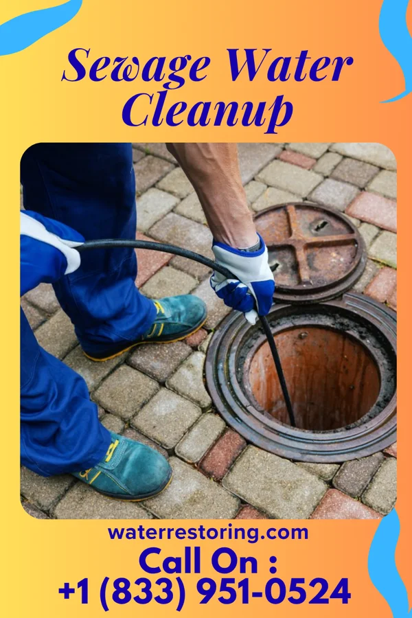 Sewage Water Cleanup in Lisman, AL